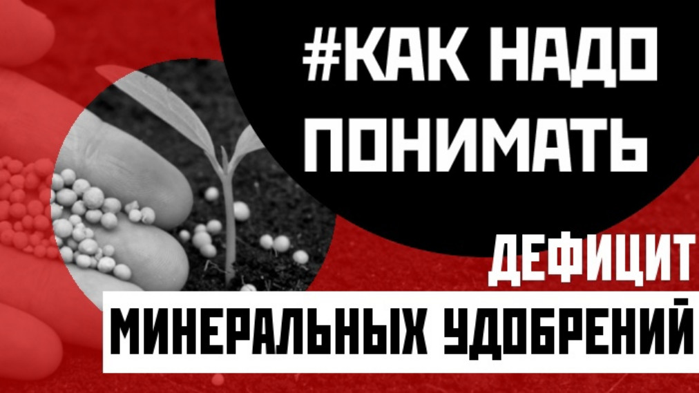 Государственный бюджет дефицит и профицит бюджета. Нехватка железа симптомы. Недостаток кальция в организме. Хроническая почечная недостаточность объективное обследование. Дефицит кальция симптомы.