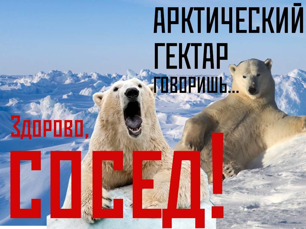 арктический гектар кировск. полуостров средний и рыбачий. арктический га. арктический гектар мурманск. полярный гектар в мурманской области.